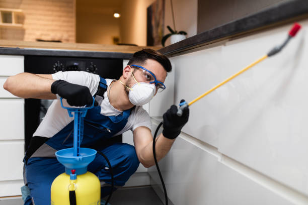 Best Termite Control Services  in Inverness, CO