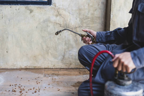 Best Mosquito Control Services  in Inverness, CO